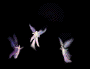 litefairies1.gif (8527 bytes)