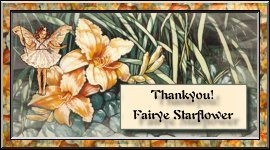 From Fairye Starflower