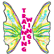My training wings!
