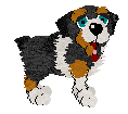 steve1.gif