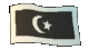 Tganu.gif (27288 bytes)