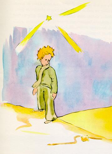 little prince on the dessert..jpg (22603 bytes)