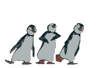 Dancing Pengiuns