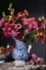 card04
