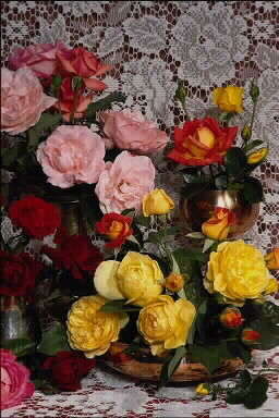 card07