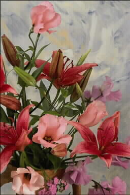 card08