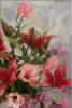 card08
