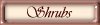 Shrubs