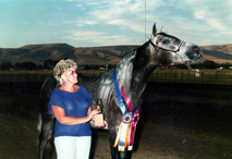 Photo of Saudari de Royale