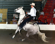 Photo of Sherif de Royale
