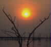 Dawn