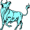 taurus