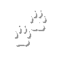 Paw Prints