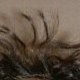 crazy hair