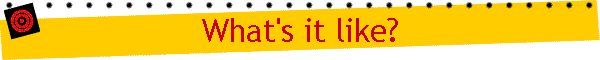 What's it like?