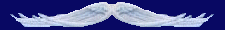 mountainbar.gif (1604 bytes)