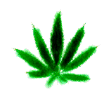 animado.gif (66724 bytes)