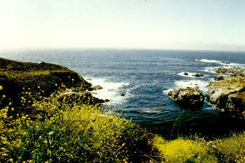 bigsur.gif (26929 bytes)
