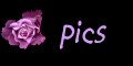 My Pics