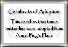Adopt one yourself