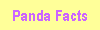 panda facts
