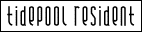 sp_tidepool1.gif (1654 bytes)