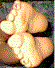 icon4.gif (2960 bytes)