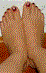icon5.gif (2440 bytes)