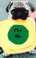 pug10