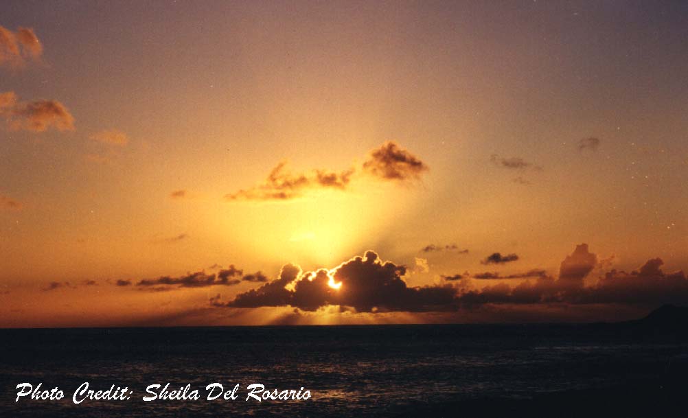 Sheila's sunset on Oahu