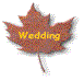 [Wedding Pages] 