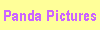 panda pictures