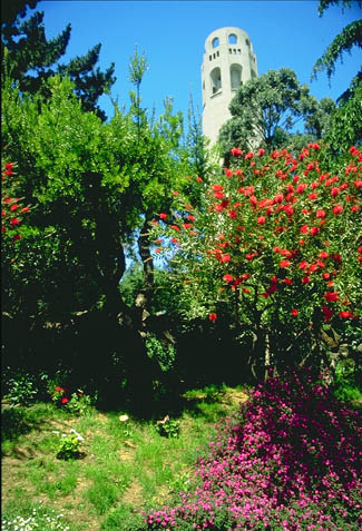 Coit Tower.JPG (73744 bytes)