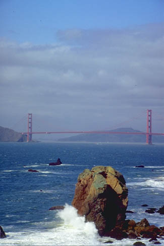 Land�s End.JPG (24218 bytes)