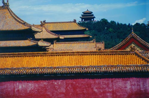 china11.jpg (50026 bytes)