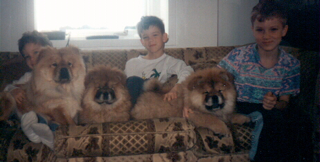 Boys and puppies!!  OH MY!