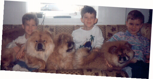 another one of the boys and puppies