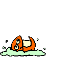 Fish jump