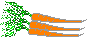 carrots