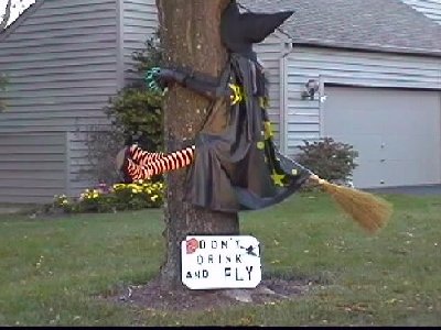 Don't Drink and Fly!