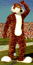 aubie
