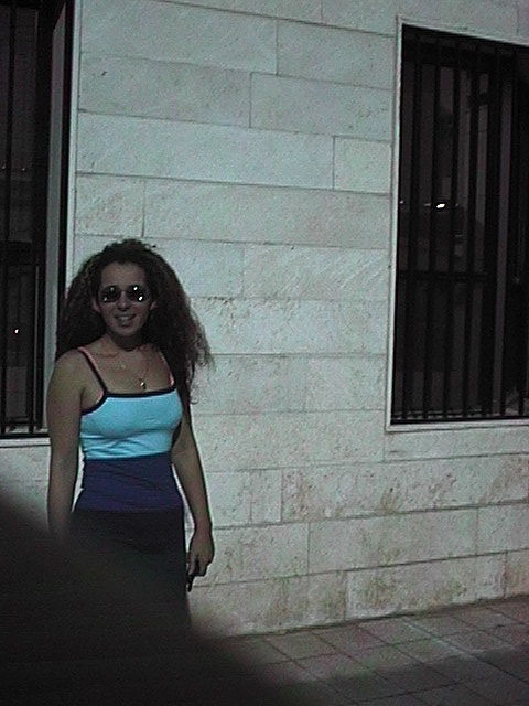 Ocean_VIew.jpg (81920 bytes)