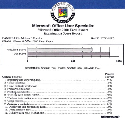 excel expert