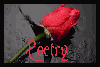 Poetry Logo
