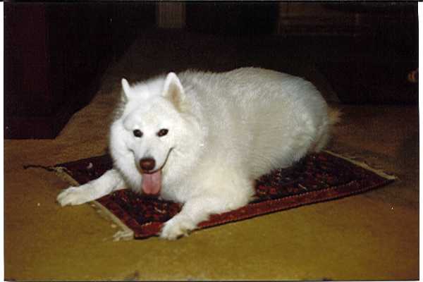 Hoorah5.jpg (18640 bytes)