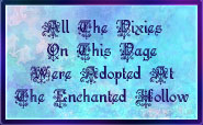 Enchanted Hallow Banner