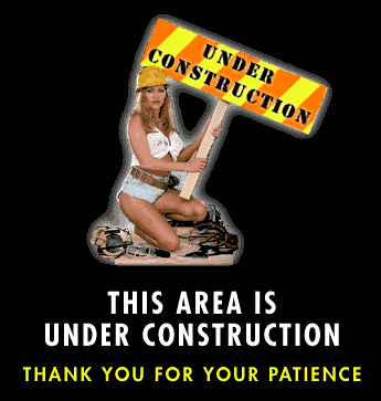 will be completed very soon with future idiots and jackass's of the month that upset Mr. Alleman or myself.
