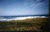 OCEAN1.jpg (11267 bytes)