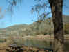 coloma1.jpg (101176 bytes)