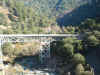 foresthill3.jpg (101176 bytes)